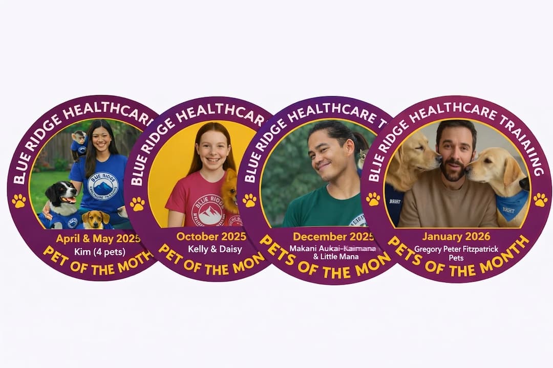 🐶 Pets of the Month Contest