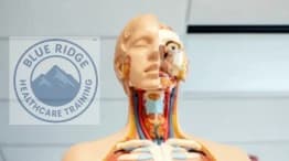 BRHT 109 - Introduction to Medical Terminology (Overview).